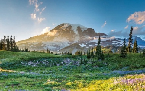 KnarleyDACto @knarleydacto cover picture