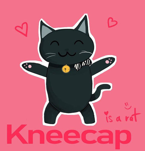 kneecap @kneecap cover picture