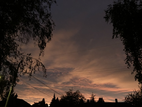 Knovamped @knovampedd cover picture