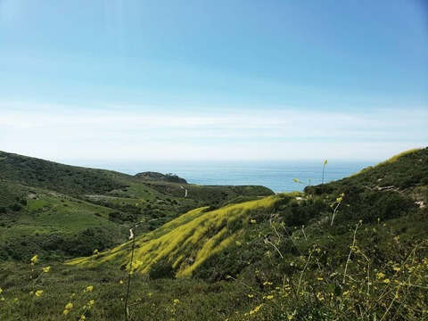 Koda @kodajared cover picture