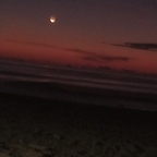 korek Profile Picture