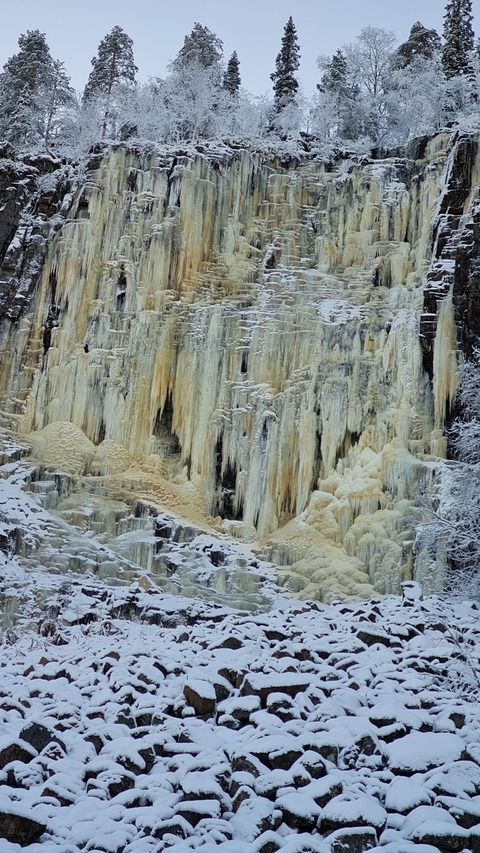 Seinstein @korsteeni cover picture