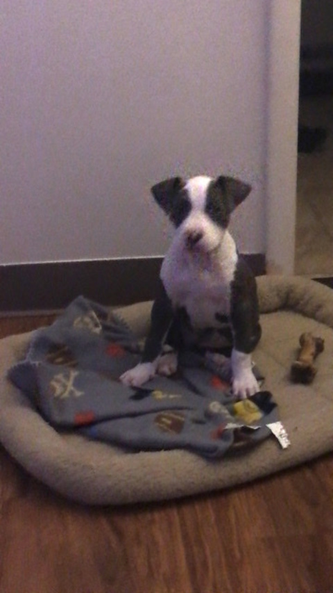 King Dinky @krowndkup223 cover picture