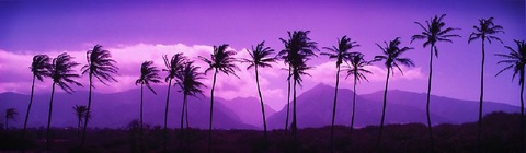 K @ks2469 cover picture