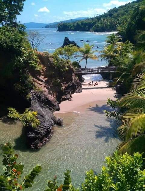 Kiel regis @ksregis cover picture