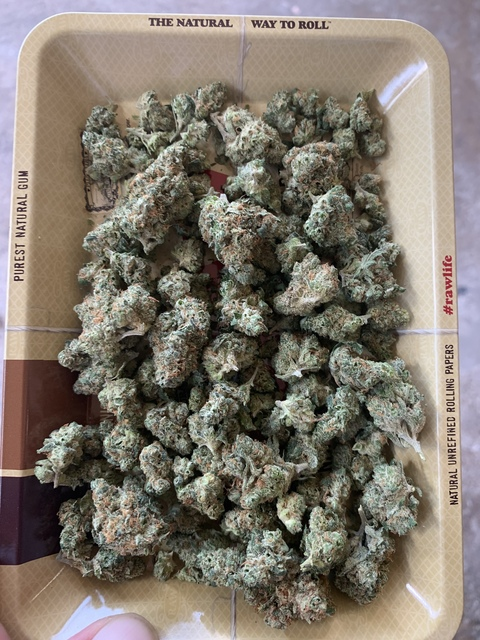 Kado @kt1123 cover picture