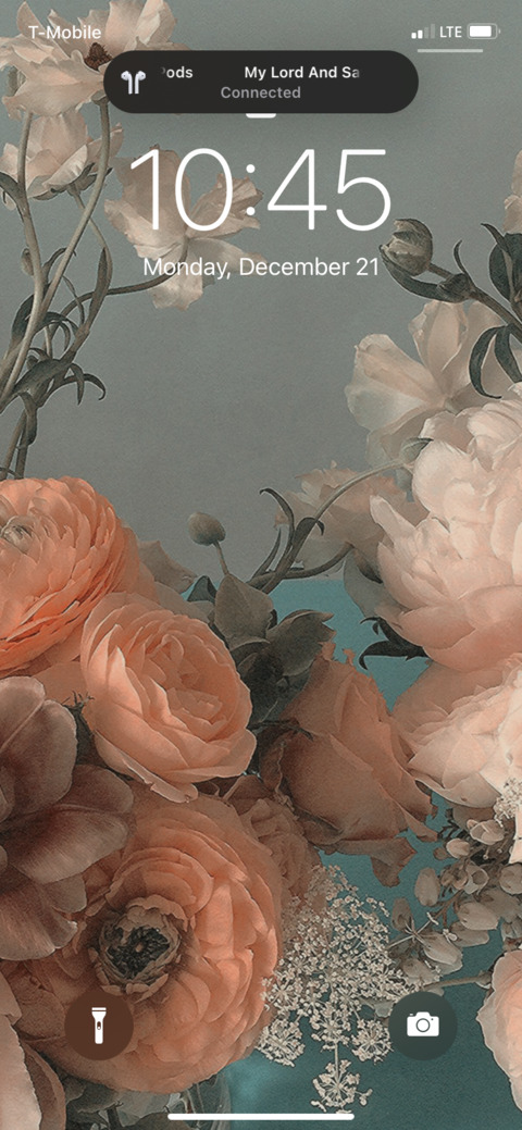 bella @kushipeach cover picture