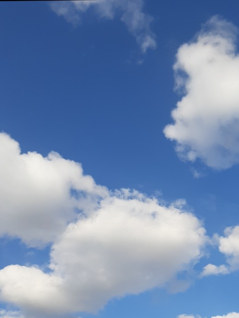 Latina Mami @laatinamami cover picture