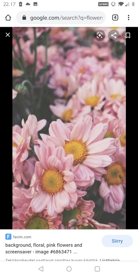 Princess @laceprincess00 cover picture