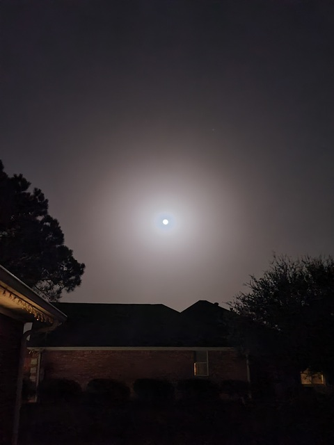 Lacey🌸 @laceylibra666 cover picture