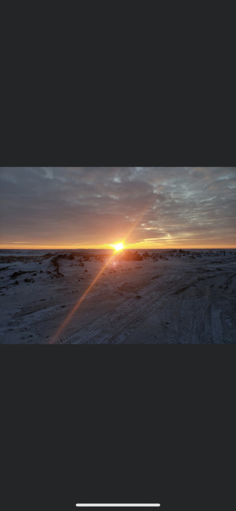 XOLaceyLouXO @laceylouxox cover picture