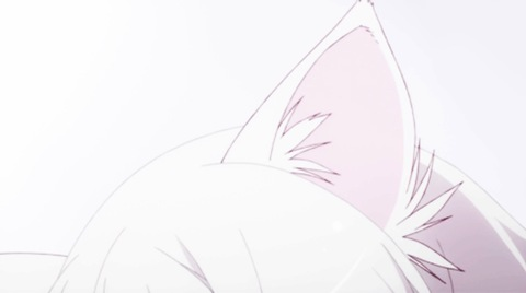 lacey rayn <3 @laceyrayn cover picture