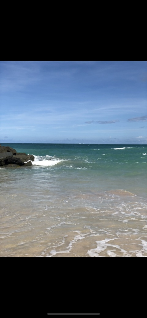 Lola @lady-lola cover picture