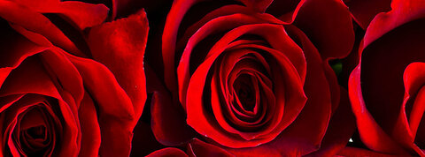 Lady Eira @ladyeira cover picture