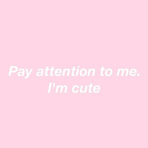 ladyv_vixen @ladyv_vixen cover picture