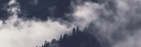 Laila🖤🌸• TOP 27% OF @lailaandsamuel cover picture