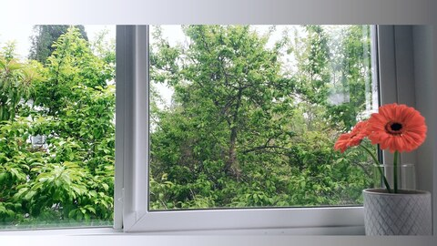 :) lailey @laileybee cover picture