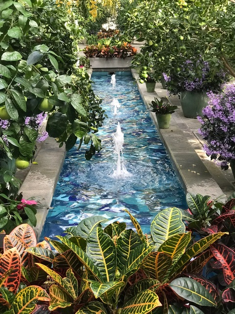 Richie @laker cover picture