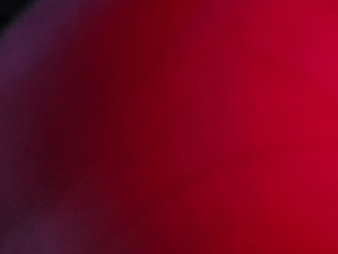 Leexa @laleex cover picture