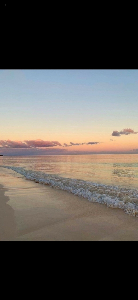 lali🍒✨🥂🧸 @lalinmooninthehell cover picture