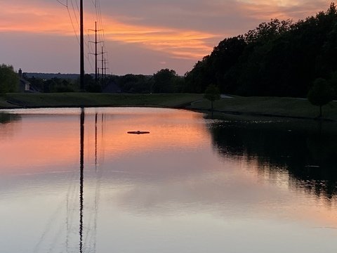 Lance Burns @lancelot909011 cover picture