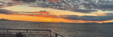 Larissa-lee Almgren @larissaleealmgren cover picture