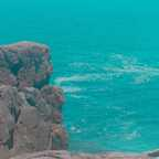 lasinha Profile Picture