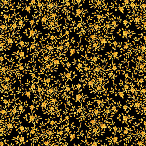 Capitana @latinageisha cover picture