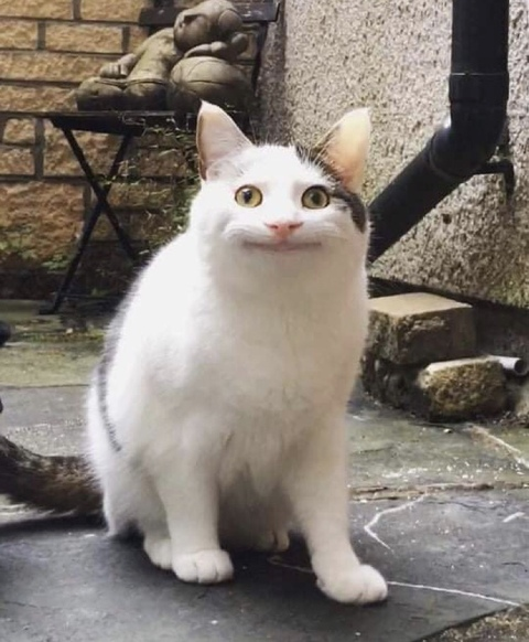 Laura @laura_19111987 cover picture