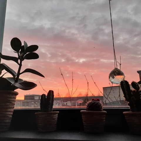 Laura @laurar cover picture