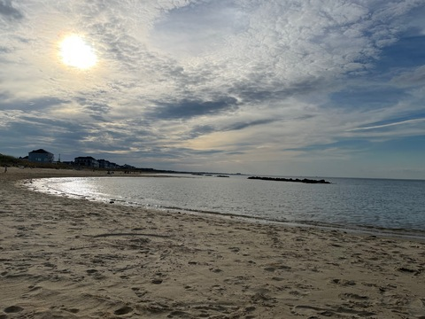 lauren @laurenhoeing cover picture