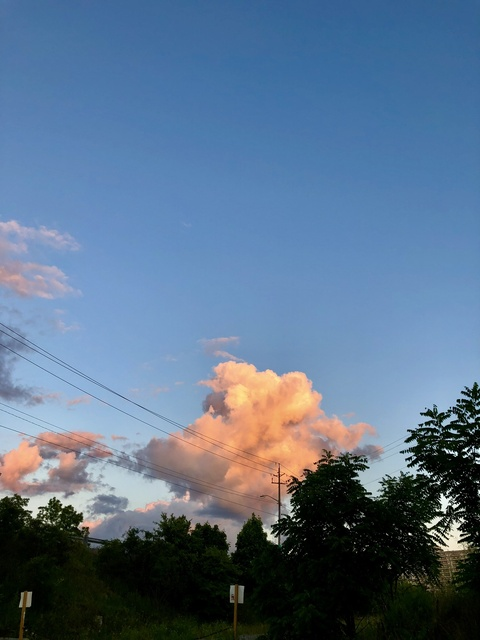 laurenwatson @laurenwatson cover picture