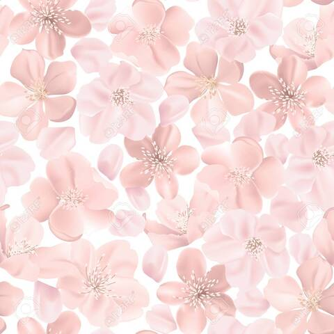 Laur @laurlo cover picture