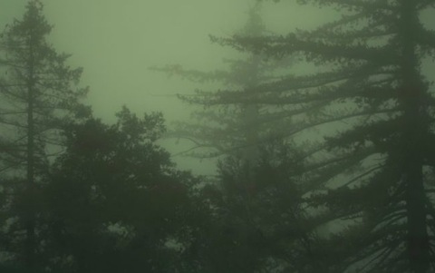 lavasuga @lavasuga cover picture