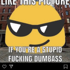 laycc Profile Picture