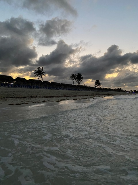 Leila @leila_hot cover picture