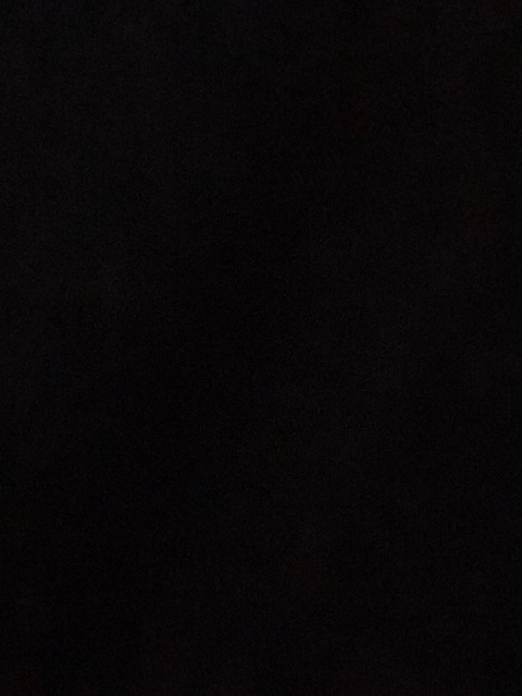 Sophia Rodriguez-Roman @leilani98 cover picture