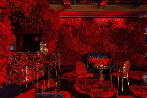 Lele jay @lelejay cover picture