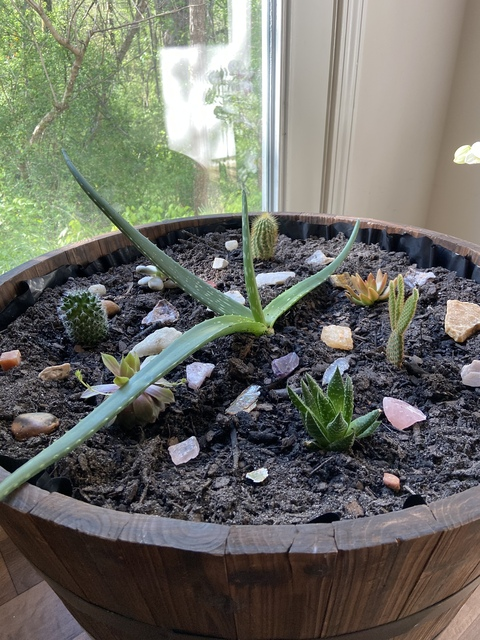 Leo @leogirlhere cover picture