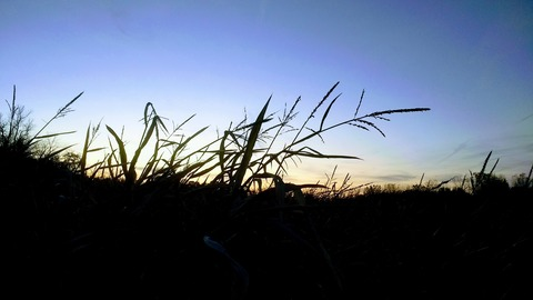 Fiona LeRue @leruefiona cover picture