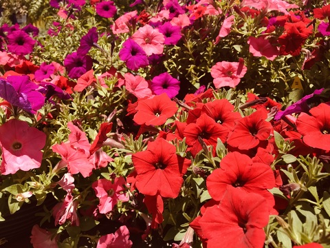 Leslie @leslie_rey cover picture