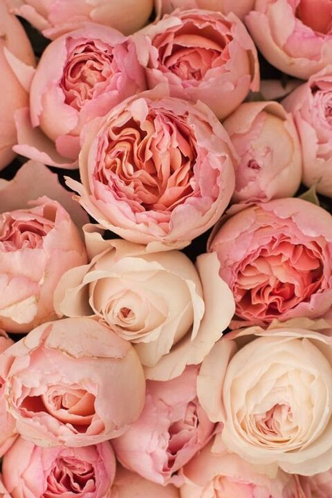 LeticiaGascon @leticiagascon cover picture