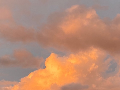 LevonRed @levonred cover picture