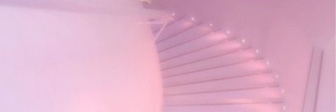 Humming Bird @lewdsifer cover picture