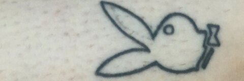 Vincent van Hoe @lexah0lic cover picture