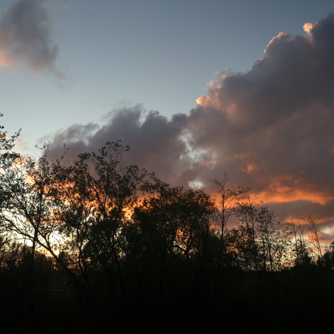 alexia @lexcstasy cover picture