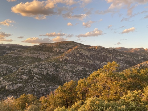 Lexi King @lexi_king cover picture