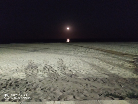 Lexie @lexiesol21 cover picture