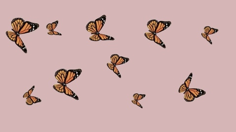 lexi @lexiiii_23 cover picture