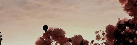 Alexis Biggins @lexissss cover picture